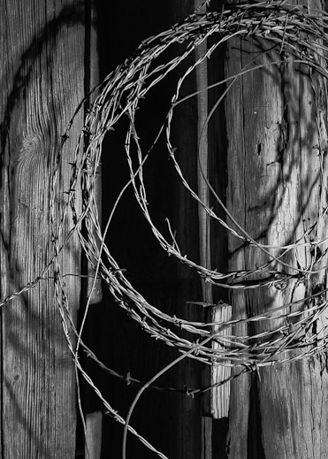 Cedar Hill State Park